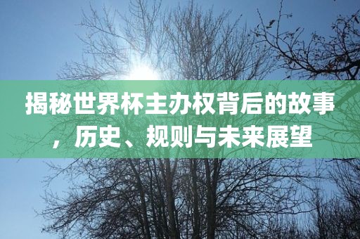 揭秘世界杯主办权背后的故事，历史、规则与未来展望吉安市靖泰电力工程有限公司