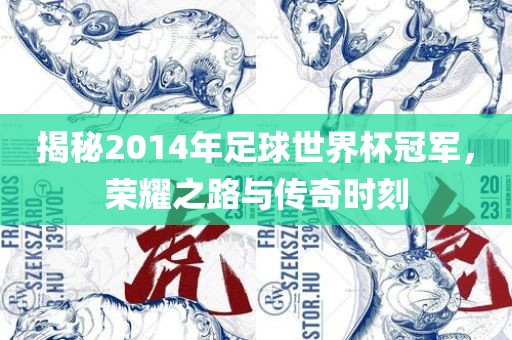 揭秘2014年足球世界杯冠军，荣耀之路与传奇时刻吉安市靖泰电力工程有限公司