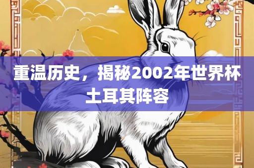 重温历史，揭秘2002年世界杯土耳其阵容