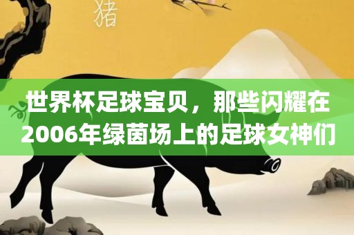 世界杯足球宝贝，那些闪耀在2006年绿茵场上的足球女神们