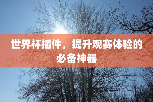 世界杯插件，提升观赛体验的必备神器吉安市靖泰电力工程有限公司