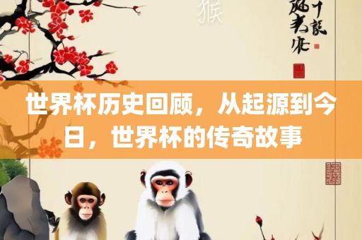 世界杯历史回顾，从起源到今日，世界杯的传奇故事