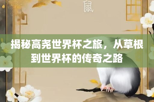 揭秘高尧世界杯之旅吉安市靖泰电力工程有限公司，从草根到世界杯的传奇之路