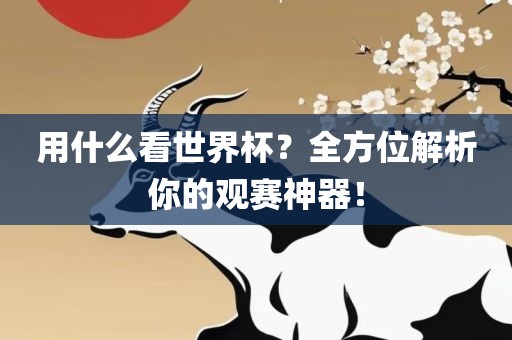 用什么看世界杯？全方位解析你的观赛神器！吉安市靖泰电力工程有限公司