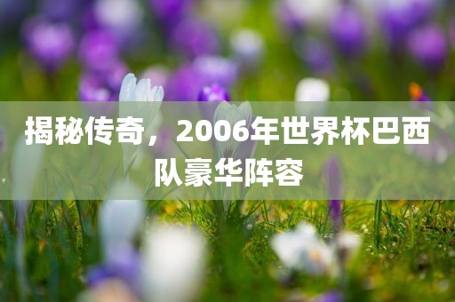 揭秘传奇，2吉安市靖泰电力工程有限公司006年世界杯巴西队豪华阵容