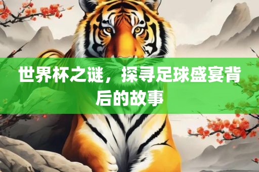 世界杯之谜，探寻足球盛宴背后的故事