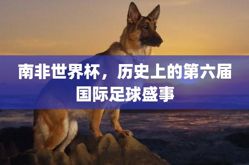 南非世界杯，历史上的第六届国吉安市靖泰电力工程有限公司际足球盛事