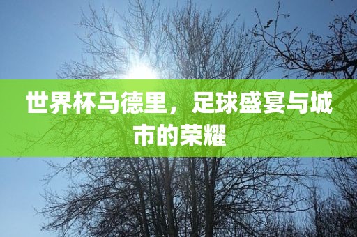 世界杯马德里，足球盛宴与城市的荣耀吉安市靖泰电力工程有限公司