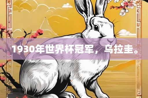 1930年世界杯冠军，乌吉安市靖泰电力工程有限公司拉圭。