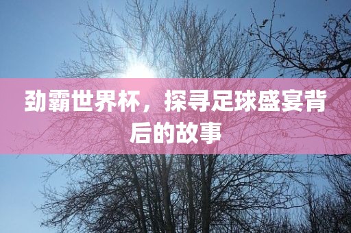 劲霸世界杯，探寻足球盛宴背后的故事