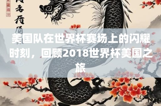 美国队在世界杯赛场上的闪耀时刻，回顾2018世界杯美国之旅吉安市靖泰电力工程有限公司