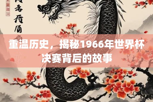 重温历史，揭秘1966年世界杯决赛背后的故事
