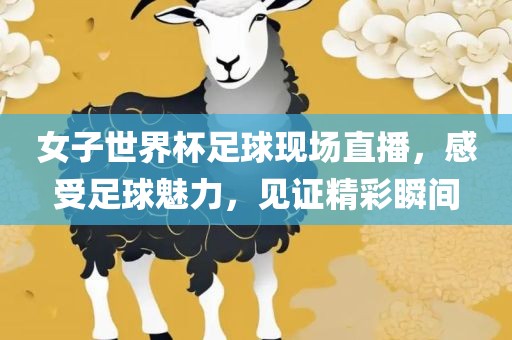 女子世界杯足球现场直播，感受足球魅力，见证精彩瞬间吉安市靖泰电力工程有限公司