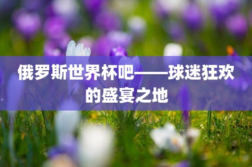 俄罗斯世界杯吧——球迷狂欢的盛宴之地