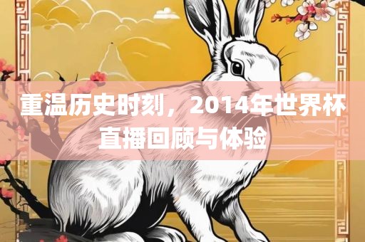 重温历史时刻，2014年世界杯直播回顾与体验吉安市靖泰电力工程有限公司