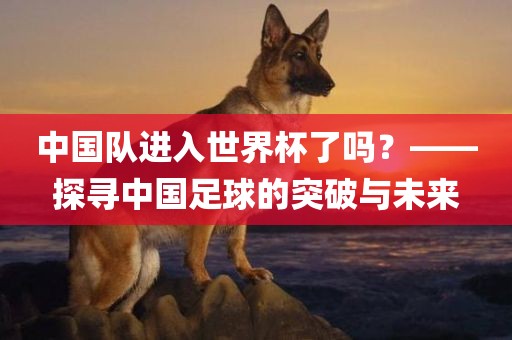 中国队进入世界杯了吗？——探寻中国足球的突破与未来