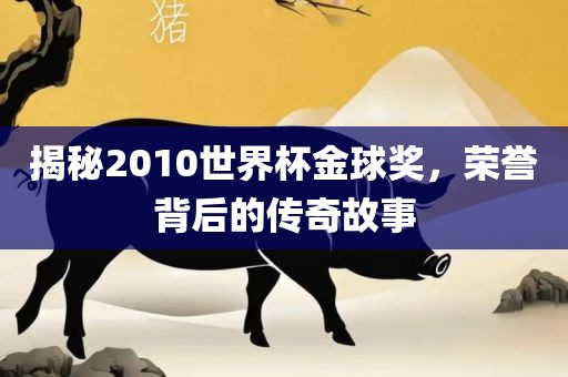 揭秘2010世界杯金球奖，荣誉背后的传奇故事