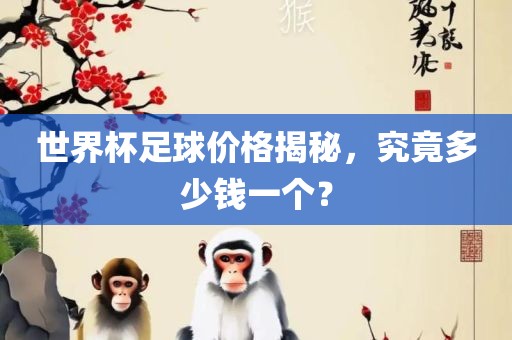 世界杯足球价格揭秘，究竟多少钱吉安市靖泰电力工程有限公司一个？