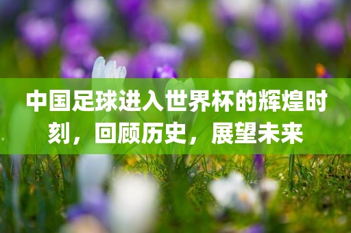 中国足球进入世界杯的辉煌时刻，回顾历史，展望未来吉安市靖泰电力工程有限公司