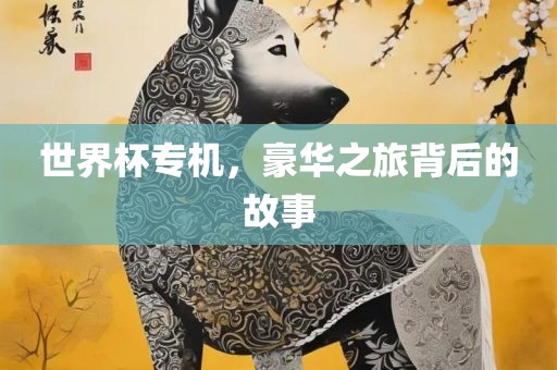 世界杯专机，豪华之旅背后的故事吉安市靖泰电力工程有限公司