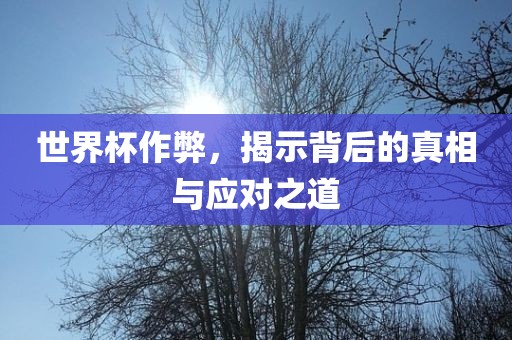 世界杯作弊，揭示背后的真相与应对之道吉安市靖泰电力工程有限公司