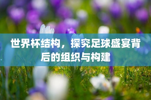 世界杯结构，探究吉安市靖泰电力工程有限公司足球盛宴背后的组织与构建