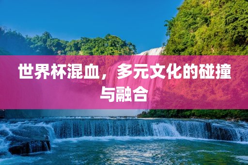 世界杯混血，多元文化的碰撞与融合吉安市靖泰电力工程有限公司