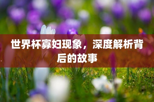 世界杯寡妇现象，深度解析背后的故事