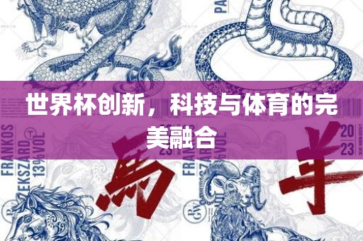 世界杯创新，科技与体育的完美融合