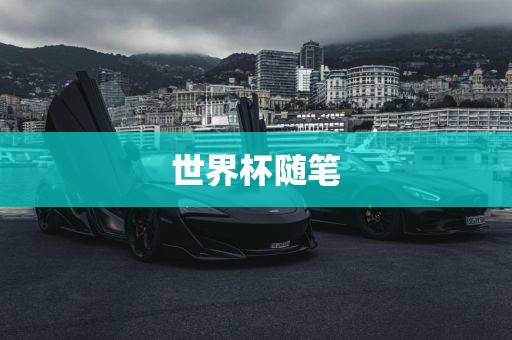 世界杯随笔