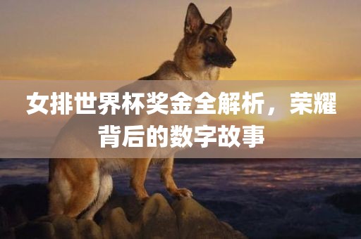 女排世界杯奖金全解析，荣耀背后的数字故事
