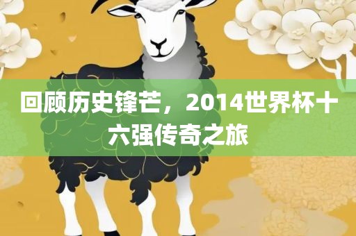 回顾历史锋芒，2014世界杯十六强传奇之旅