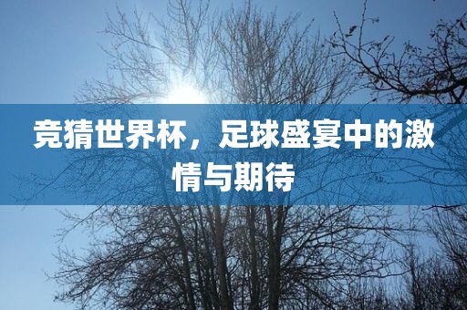 竞猜世界杯，足球盛宴中的激情与期待