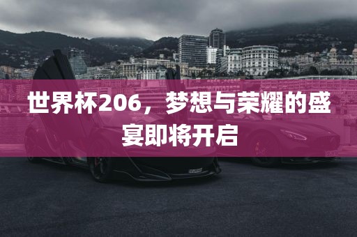 世界杯206，梦想与荣耀的盛宴即将开启