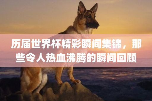 历届世界杯精彩瞬间集锦，那些令人热血沸腾的瞬间回顾