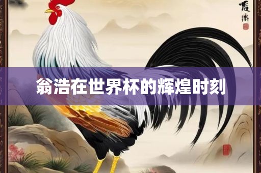 翁浩在世界杯的辉煌时刻