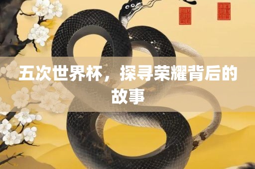 五次世界杯，探寻荣耀背后的故事