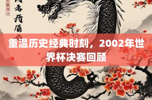 重温历史经典时刻，2002年世界杯决赛回顾吉安市靖泰电力工程有限公司
