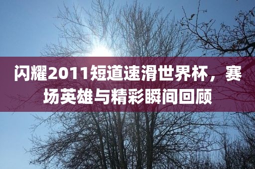 闪耀2011短道速滑世界杯，赛场英雄与精彩瞬间回顾