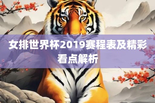 女排世界杯2019赛程表及精彩看点解析