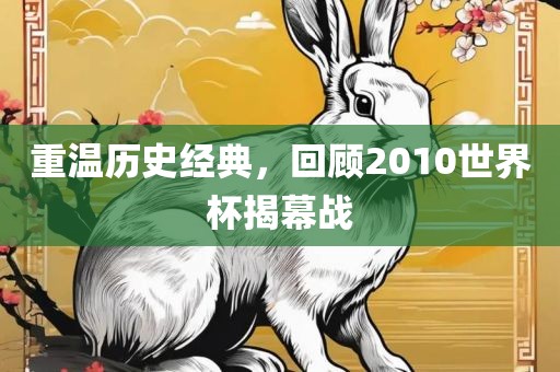 重温历史经典，回顾2010世界杯揭幕战