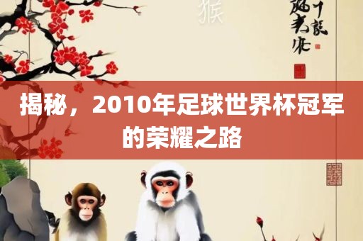 揭秘，2010年足球世界杯冠军的荣耀之路