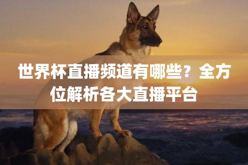 世界杯直播频道有哪些？全方位解析各大直播平台