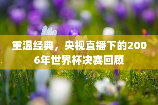 重温经典，央视直播下的2006年世界杯决赛回顾