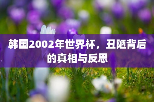 韩国2002年世界杯，丑陋背后的真相与反思