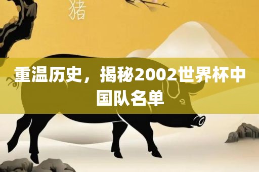 重温历史，揭秘2002世界杯中国队名单