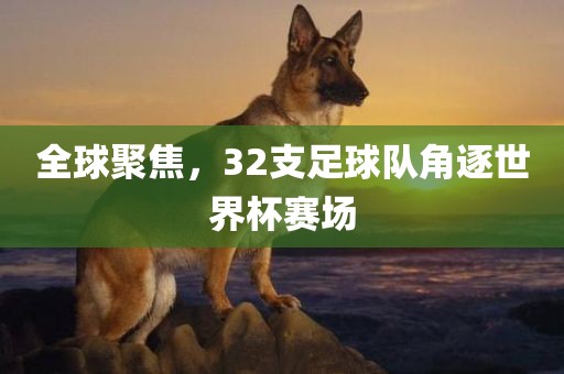 全球聚焦，32支足球队角逐世界杯赛场