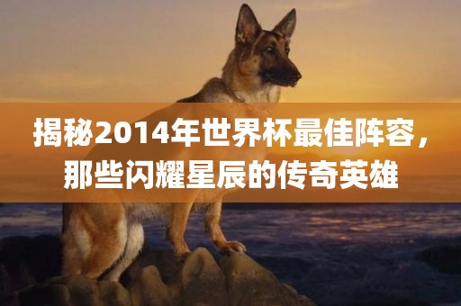 揭秘2014年世界杯最佳阵容，那些闪耀星辰的传奇英雄