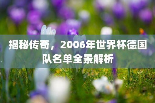 揭秘传奇，2006年世界杯德国队名单全景解析