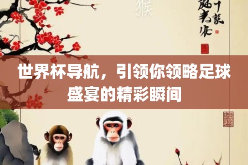 世界杯导航，引领你领略足球盛宴的精彩瞬间